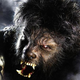 Image for article titled The Wolfman's Moulting: All The Reshoots, Redos And Re-Edits